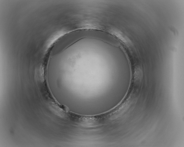 X0000115661310200911121205