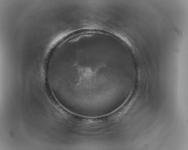 X0000115661311200911121205