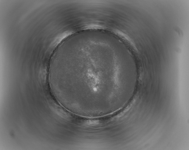 X0000115661313200911121205