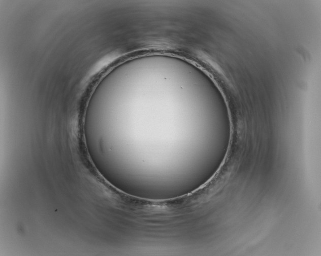 X0000115661315200911121205