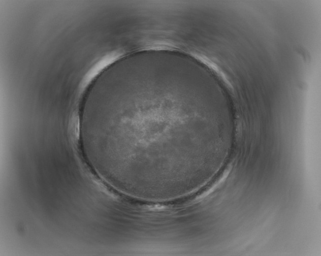 X0000115661317200911121205