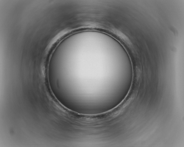 X0000115661318200911121205