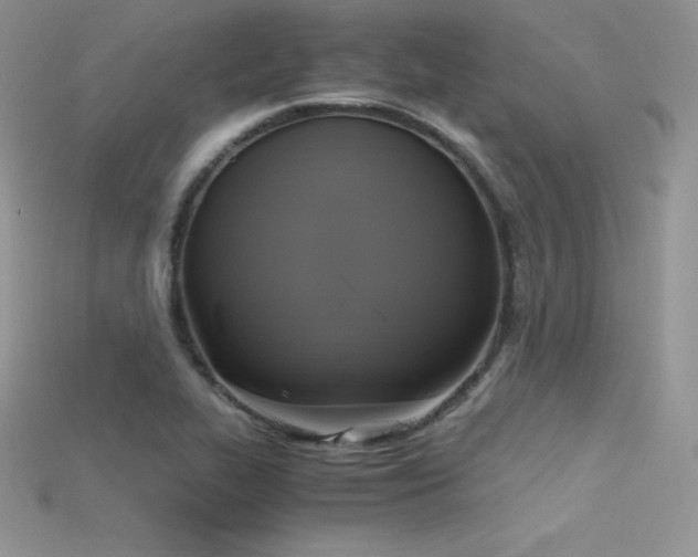 X0000115661319200911121205