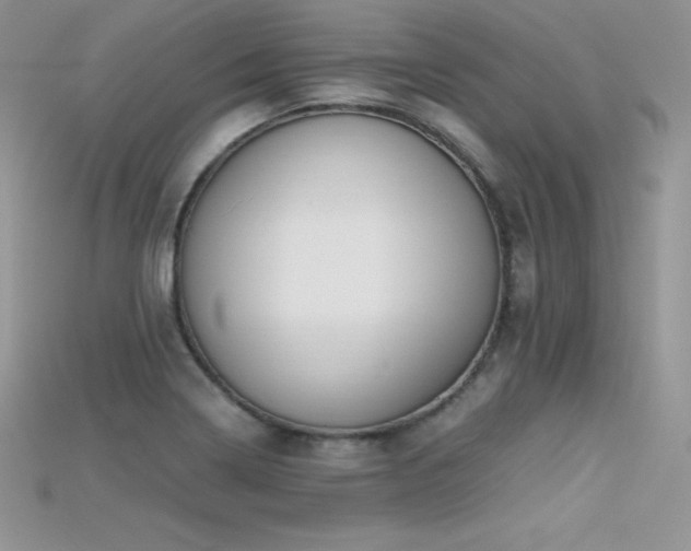 X0000115661322200911121206