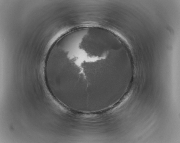 X0000115661325200911121206