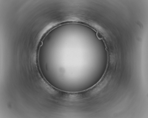 X0000115661326200911121206