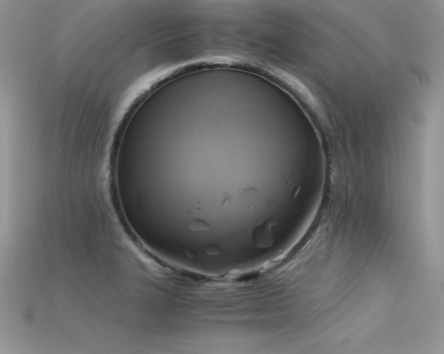 X0000115661327200911121206