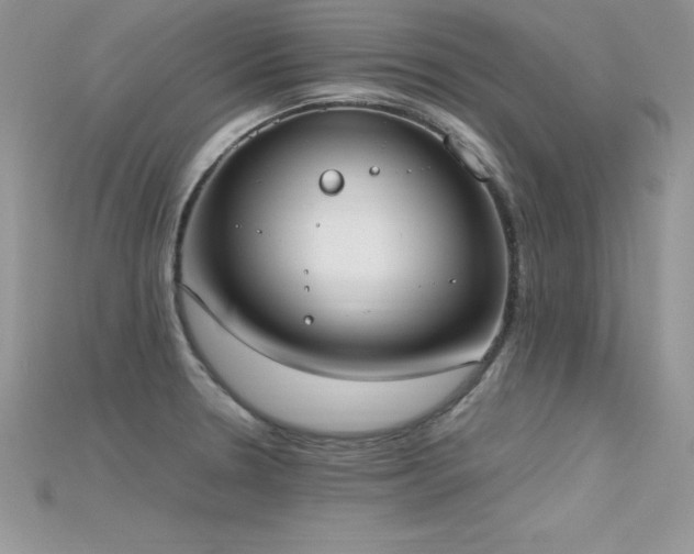 X0000115661330200911121206