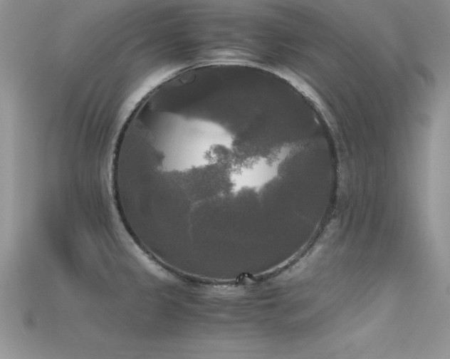 X0000115661333200911121206