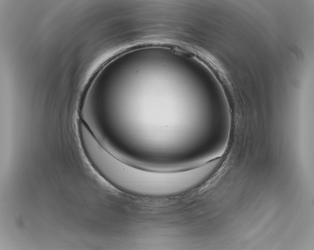 X0000115661334200911121206