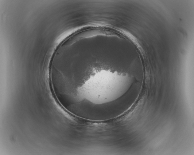 X0000115661335200911121206