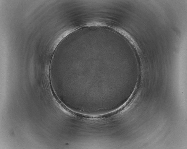 X0000115661337200911121206