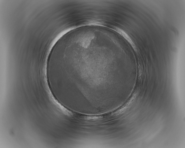 X0000115661339200911121206
