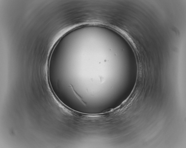X0000115661343200911121206