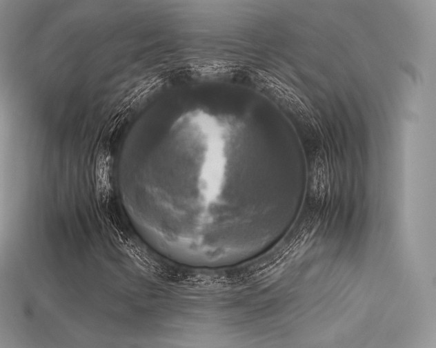 X0000115661346200911121205