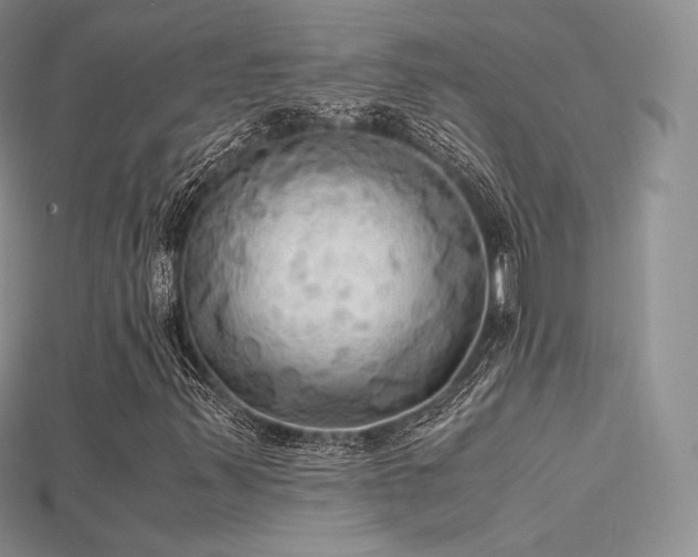 X0000115661347200911121205