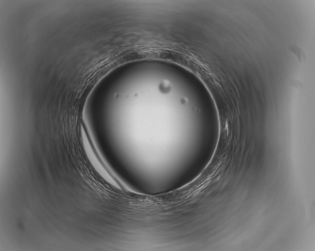 X0000115661348200911121205