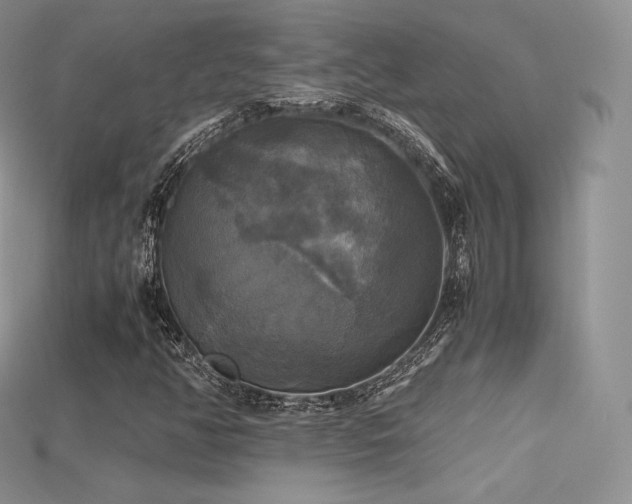X0000115661350200911121205