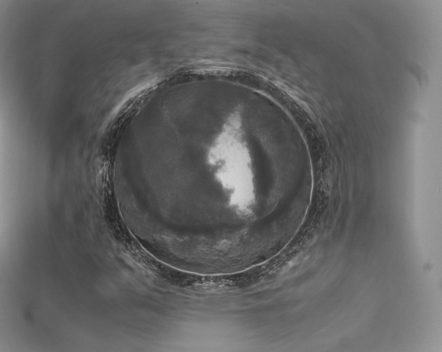 X0000115661351200911121205