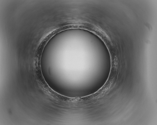 X0000115661352200911121205