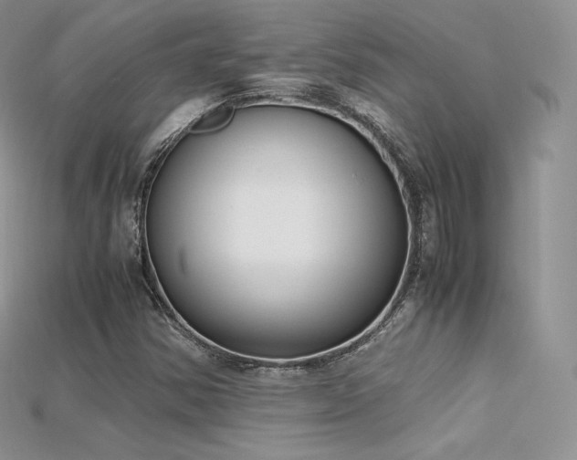 X0000115661354200911121205