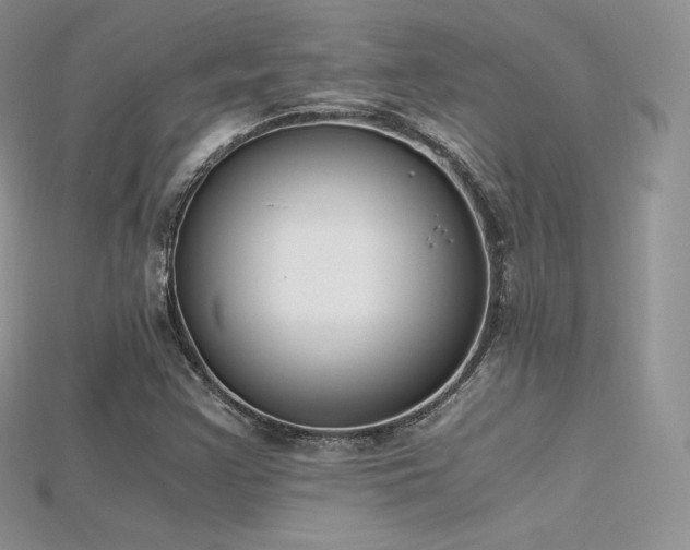 X0000115661355200911121205
