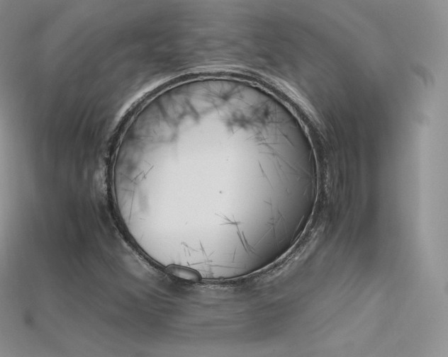 X0000115661356200911121205