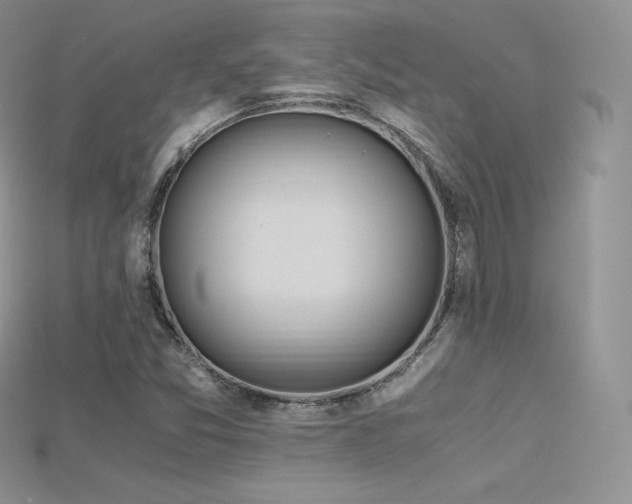 X0000115661357200911121205