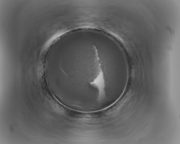 X0000115661359200911121205