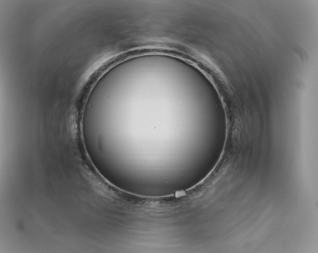 X0000115661360200911121205