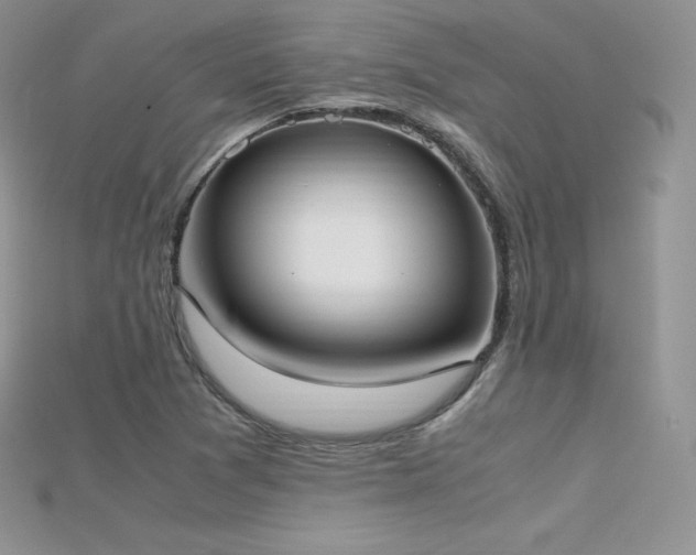 X0000115661361200911121205