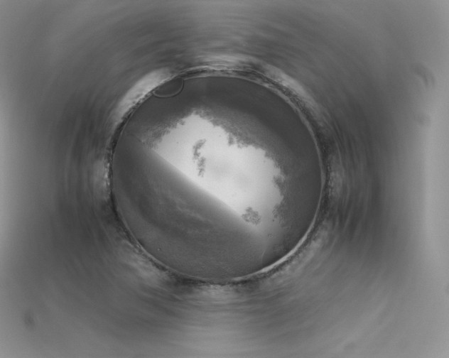 X0000115661362200911121205