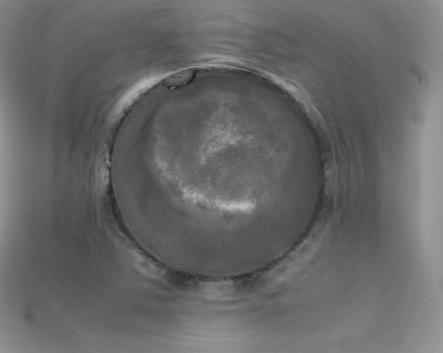 X0000115661363200911121205