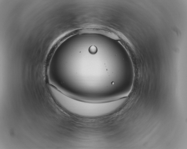 X0000115661364200911121205
