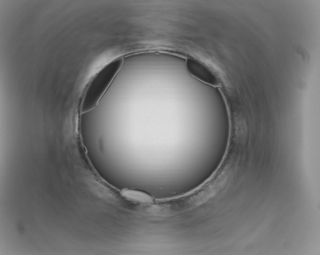 X0000115661365200911121205