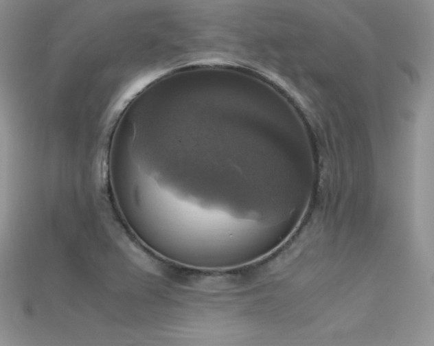 X0000115661367200911121205