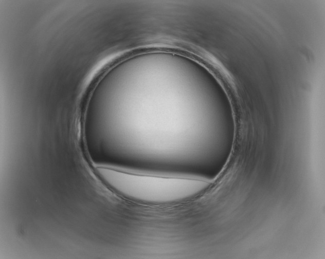 X0000115661368200911121205