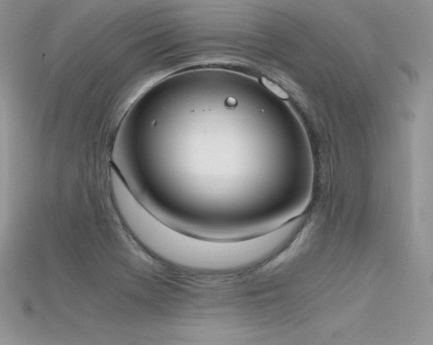 X0000115661369200911121205
