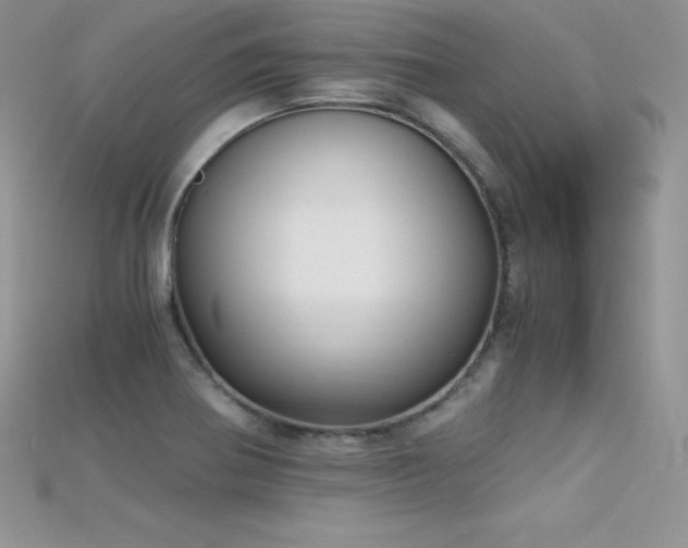 X0000115661370200911121205