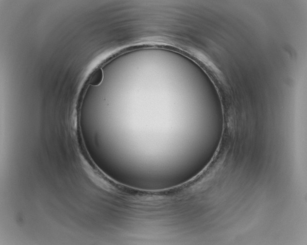 X0000115661372200911121205