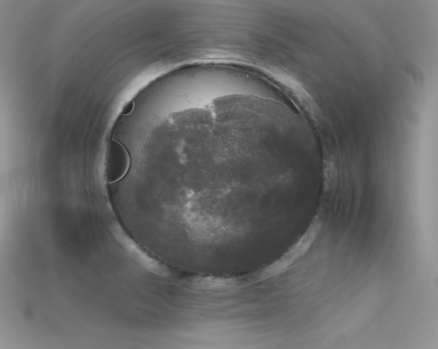 X0000115661374200911121205