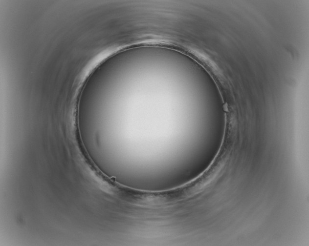 X0000115661375200911121205