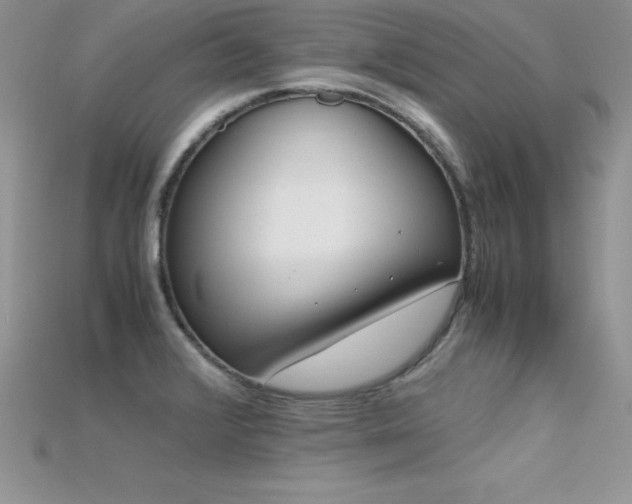 X0000115661376200911121205