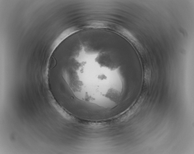 X0000115661378200911121205