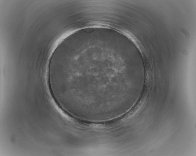 X0000115661379200911121205