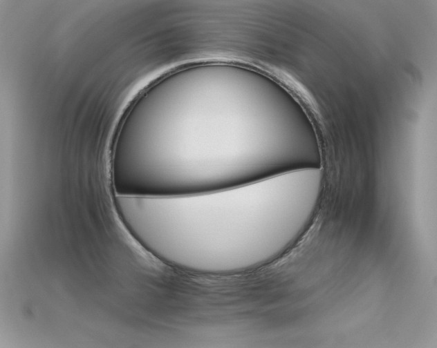 X0000115661380200911121205