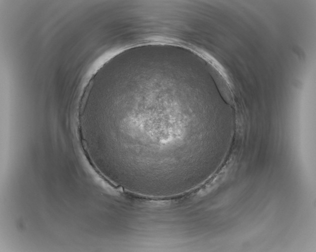 X0000115661381200911121205