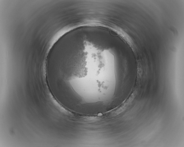 X0000115661382200911121205