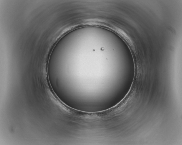 X0000115661384200911121205