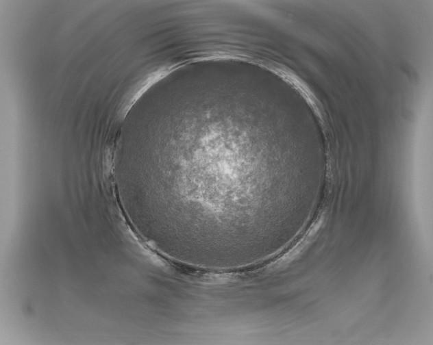 X0000115661385200911121205